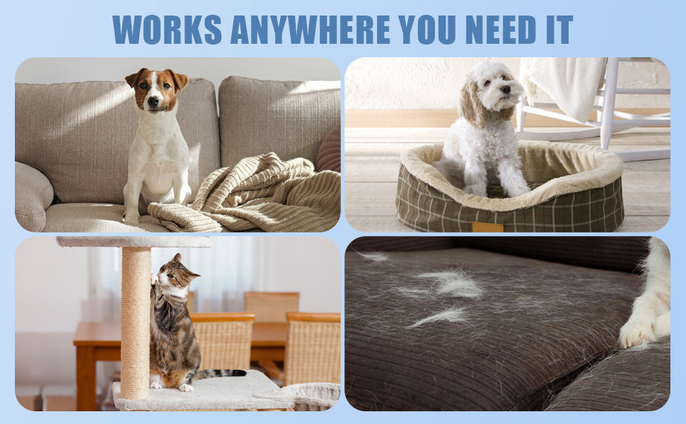Ultimate Pet Hair Removal Kit